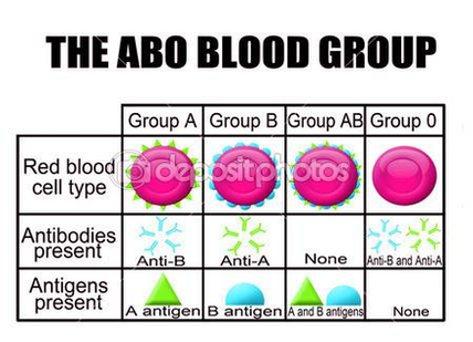 dep the abo blood group diagram