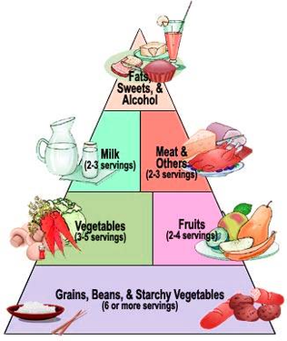 diabetes food pyramid figure