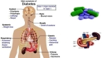 diabetes insipidus treatment