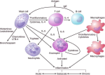 diagram of bronchial asthmafig large