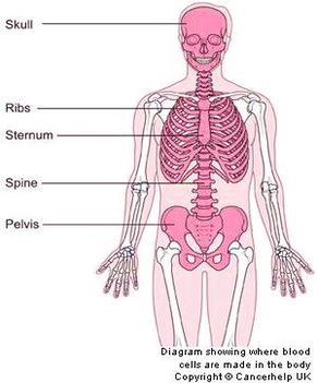 diagram of crukmig