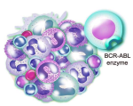 diagram of druker what causes blood cancer