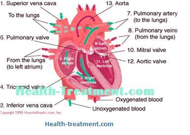 diagram of heart blood flow