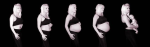 diagram of smerete emotional stages of pregnancy