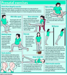 diagram prenatal exercise illustration