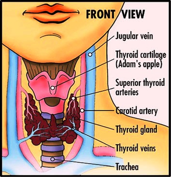 diagram thyroid cancer symptoms