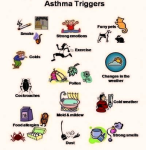 draft lensmodule asthma triggers poster figure