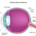 eye diagram