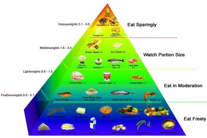 food calories diagram