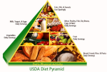 food guide pyramid usda figure