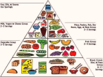 food pyramid