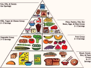 food pyramid | Anatomy System - Human Body Anatomy diagram and chart images