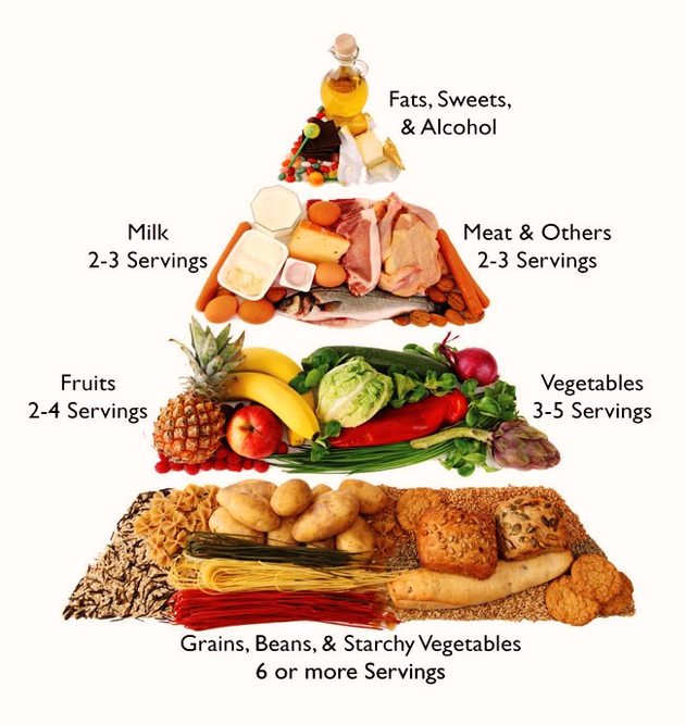 food pyramid big