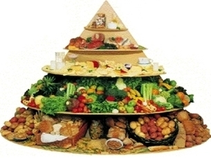 food pyramid images