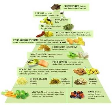 food pyramid1