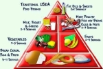 food pyramids