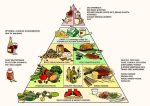 healthy eating pyramid