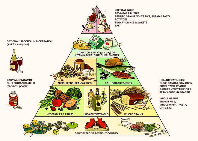 healthy eating pyramid | Anatomy System - Human Body Anatomy diagram ...