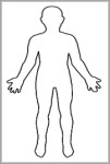 human body outline for kids 744x1160