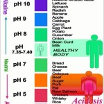 human body ph