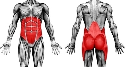 muscles stability