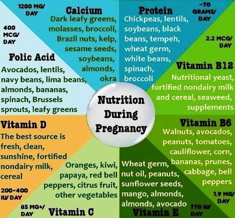 nutrition during pregnancy images