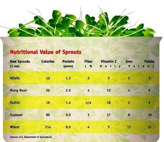 nutritional charts images