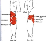 power torso overview