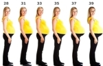 pregnancy week by week