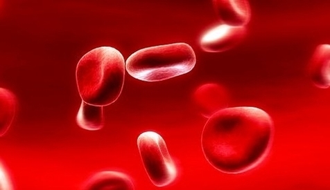 red blood cells flying down the blood streammedium