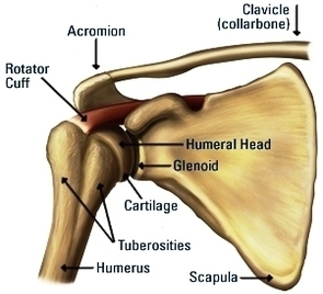 shoulder surgery treatment