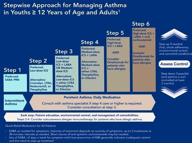stepwise asthma control therapy diagram