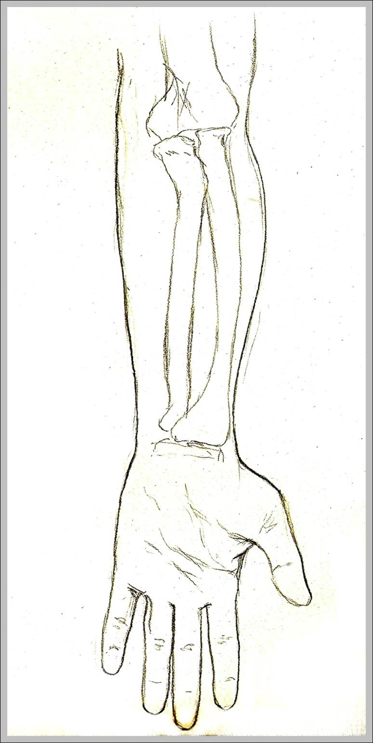supination of hand 744x1558