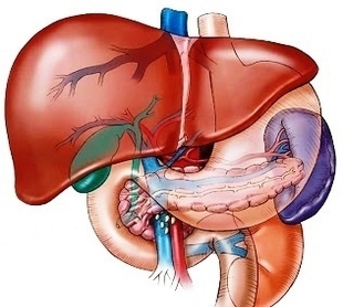 symptoms of liver cancer part