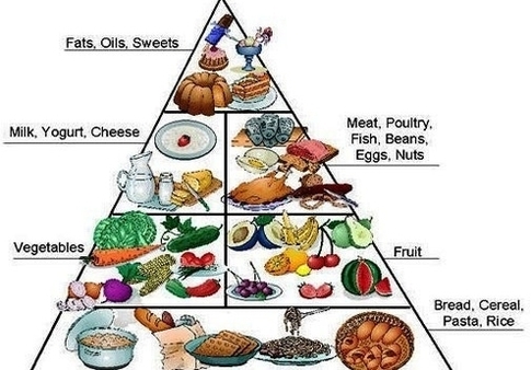 the food pyramid for kids photo