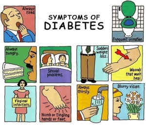 diabetes symptoms | Anatomy System - Human Body Anatomy diagram and ...