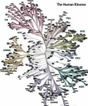 understanding the cancer brain diagram