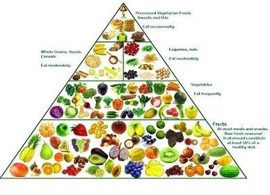 vegetarian food pyramid