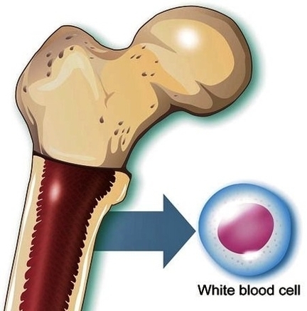 what causes blood cancer